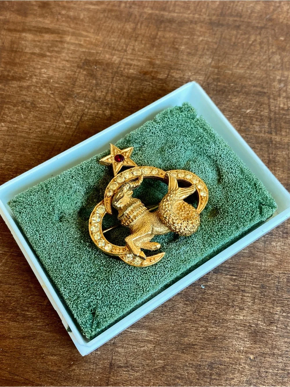 Gold-Tone Capricorn Zodiac St. Labre Brooch with Red Star Accent